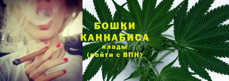 Каннабис OG Kush  Бодайбо 